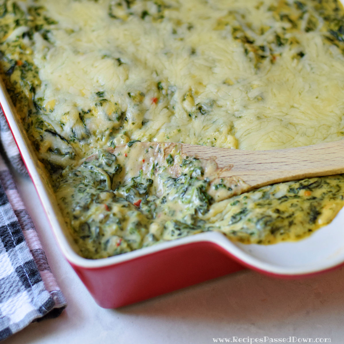 You are currently viewing Calhoun’s Spinach Maria Recipe